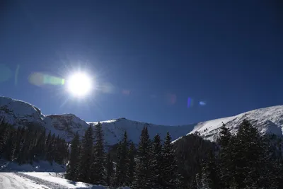 DSC_4938 (Large).JPG